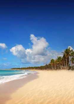 residential moving to hawaii moving movers foreman