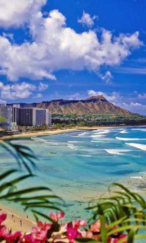 residential moving to hawaii moving movers foreman